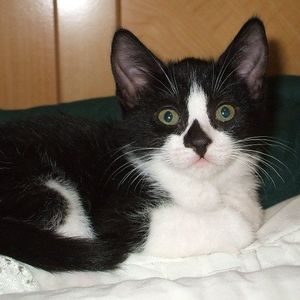 Meet your Posher, Denise